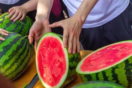 武汉高校开学免费吃瓜,免费瓜果助力学子甜蜜启航”